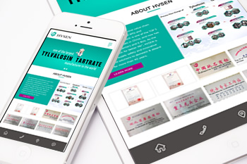 武漢回盛生物科技股份有限公司