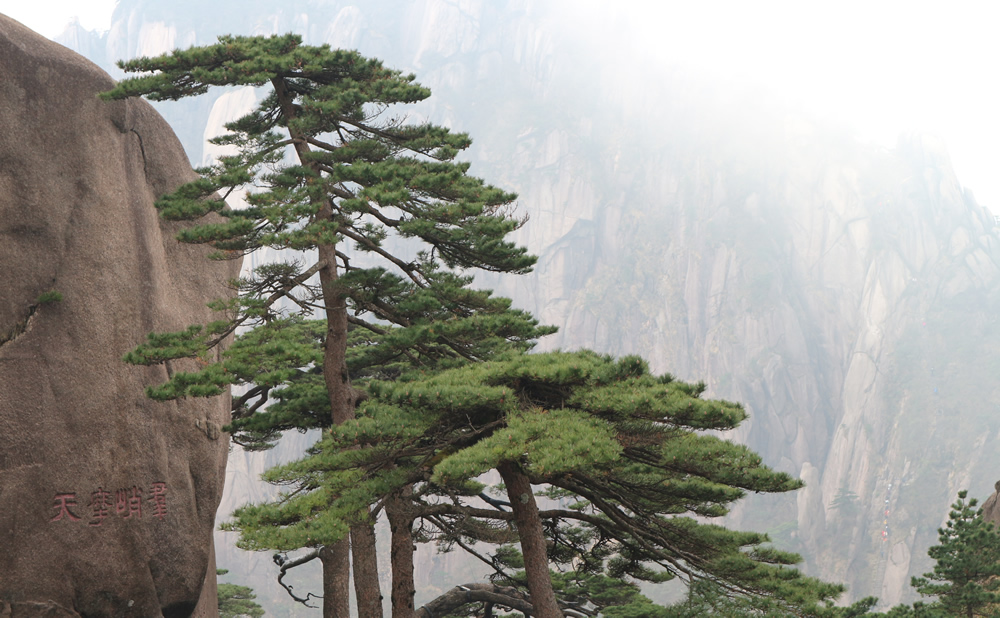 峰奇石奇松更奇，云飛水飛山亦飛——2018黃山行