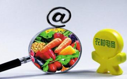 農(nóng)村電商解決方案